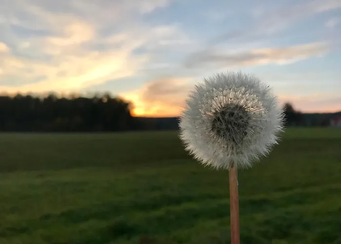 Roessle Friedenweiler